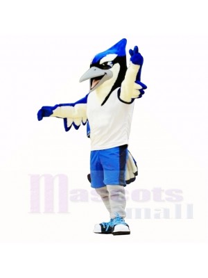 Sport Blue and Black Bird Mascot Costumes School