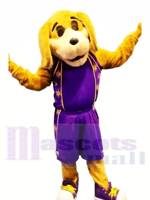 Sport Dog with Purple Suit Mascot Costumes Animal