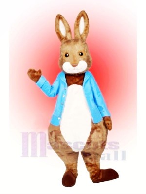 Peter Rabbit Mascot Costume Cartoon