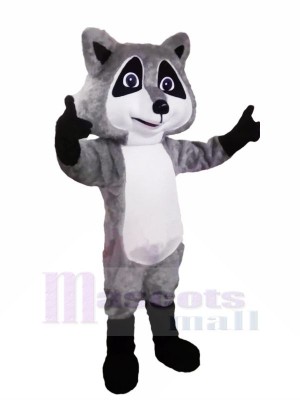 Cute Grey Raccoon Mascot Costumes Cartoon