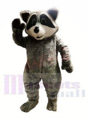 Cute Lightweight Raccoon Mascot Costumes