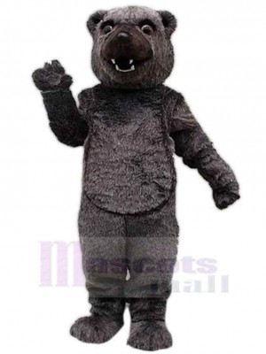 Cocomo Bear Mascot Costume For Adults Mascot Heads