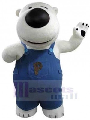 Bear mascot costume