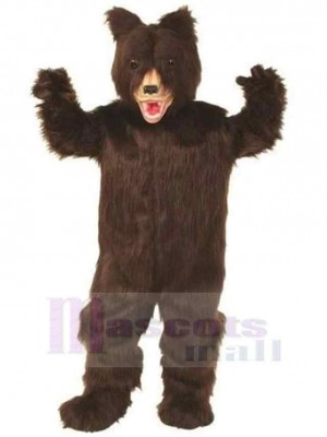 Bear mascot costume