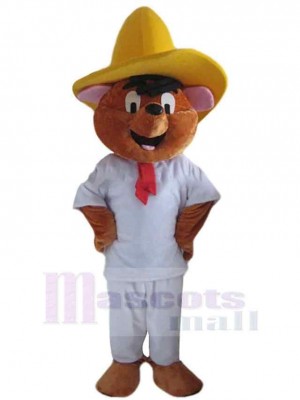 Bear mascot costume