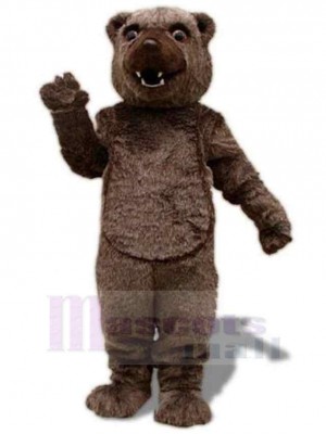 Plush Material Brown Bear Mascot Costume For Adults Mascot Heads