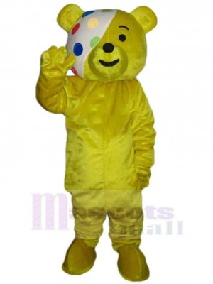 Bear mascot costume