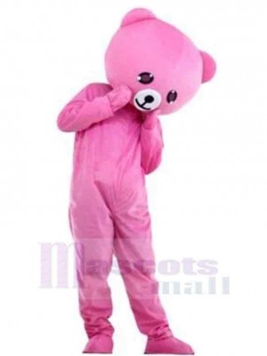 Bear mascot costume