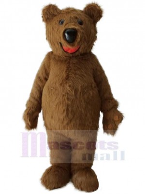 Plush Bear Mascot Costume Animal