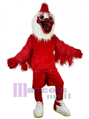 Bird mascot costume