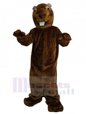 Groundhog mascot costume
