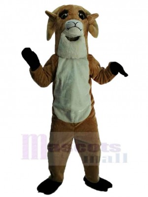 Friendly Sheep Mascot Costume Animal