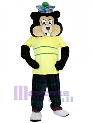 Gopher mascot costume