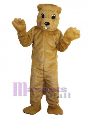 Gopher mascot costume