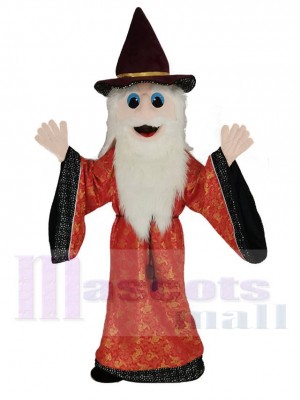 Merlin Wizard Mascot Costume Cartoon