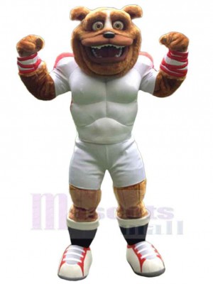 Bear mascot costume