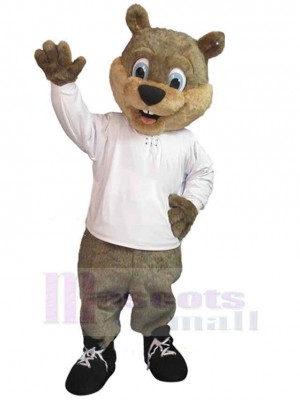 Bear mascot costume