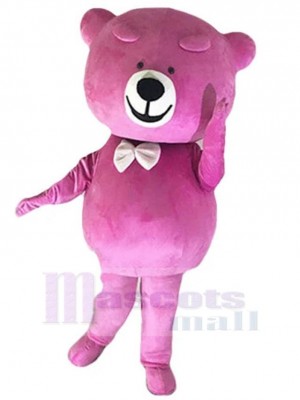 Bear mascot costume
