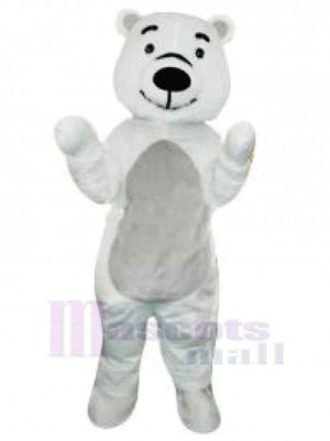 Bear mascot costume