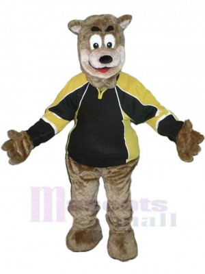 Bear mascot costume