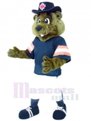 Bear mascot costume