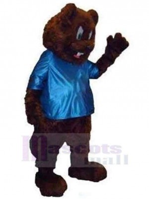 Bear mascot costume