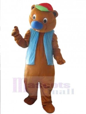 Bear mascot costume