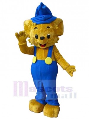 Bear mascot costume
