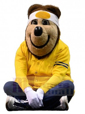 Bear mascot costume