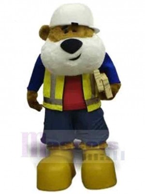 Bear mascot costume