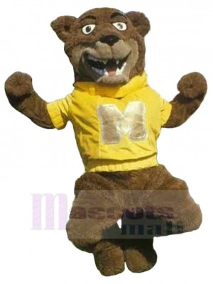 Bear mascot costume