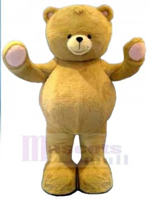 Bear mascot costume