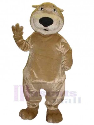 Bear mascot costume