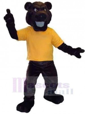 Bear mascot costume