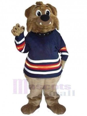 Bear mascot costume