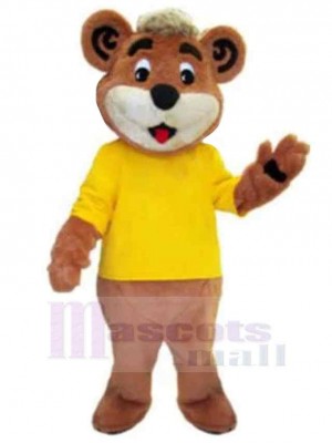 Bear mascot costume