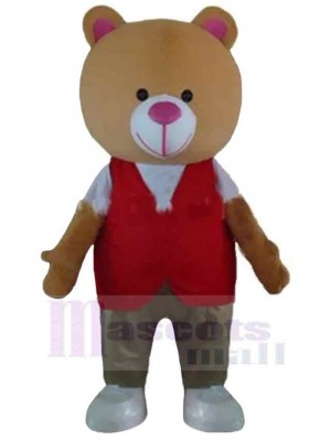 Bear mascot costume