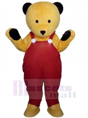 Bear mascot costume
