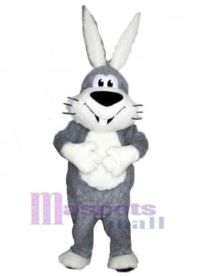 Happy Rabbit Mascot Costume Animal