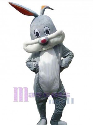 Likable Bunny Rabbit Mascot Costume Animal