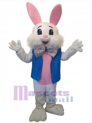 Gentle Rabbit Mascot Costume Animal