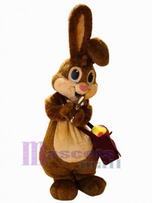 Little Easter Bunny Rabbit Mascot Costume Animal