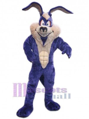 Pawky Easter Bunny Mascot Costume Animal
