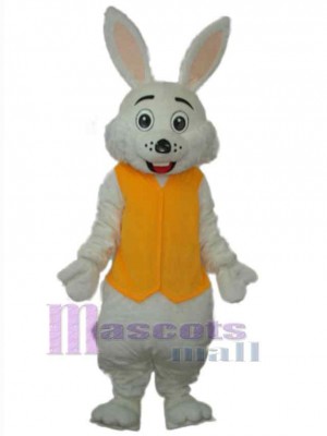 Rabbit in Yellow Vest Mascot Costume Animal