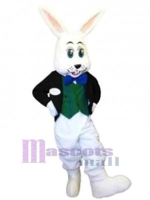 Rabbit Boy Mascot Costume Animal