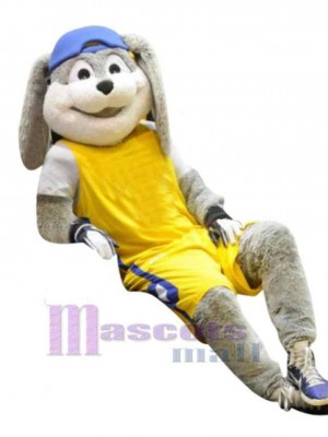 Sport Bunny Mascot Costume Animal