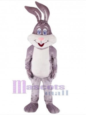 Easter Bunny Rabbit mascot costume