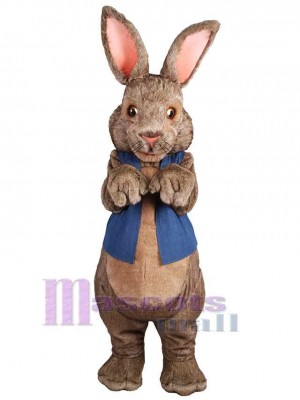 Bunny Rabbit in Blue Vest Mascot Costume Animal