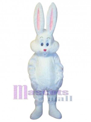 Likable Easter Bunny Rabbit Mascot Costume Animal