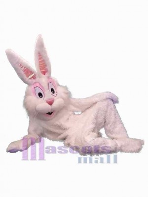 Leisure Rabbit Mascot Costume Animal